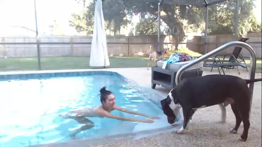 dazeydo Adult Chat October 9, 2025