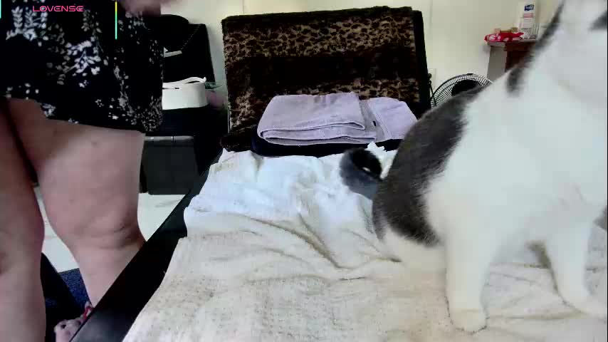 jjjust4fun1985 Adult Chat October 9, 2025