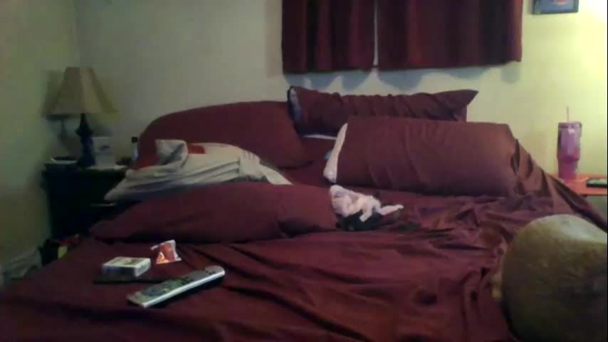 tandjl Adult Chat October 9, 2025