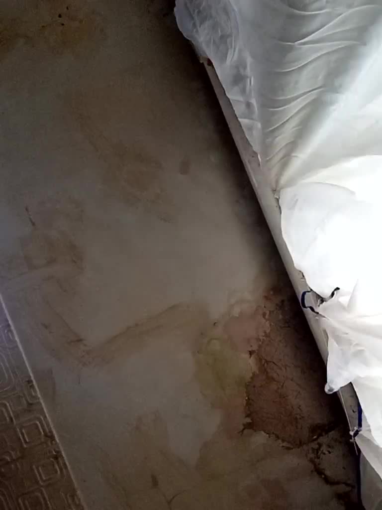 ericakat Adult Chat October 9, 2025