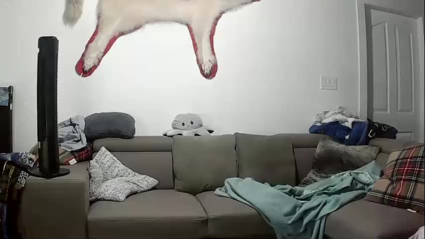 lolalixx6969 Adult Chat October 9, 2025