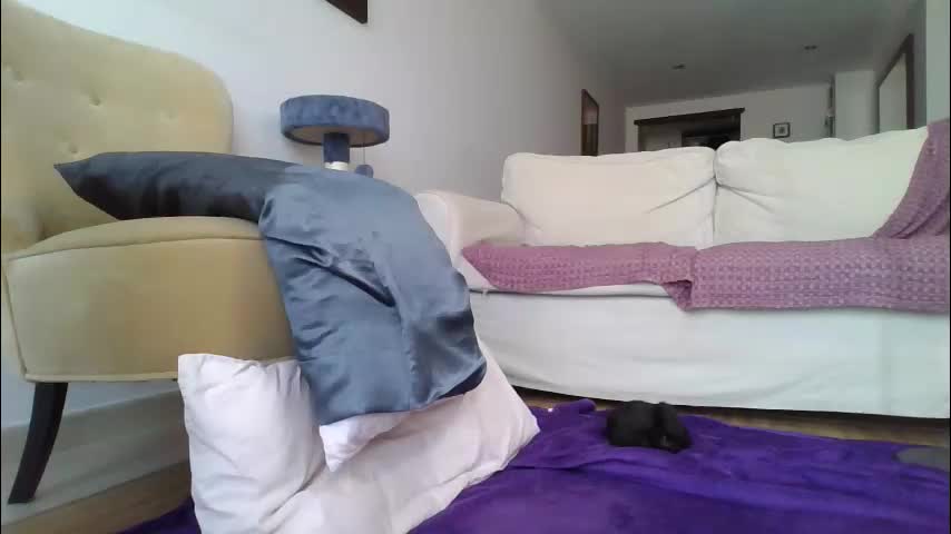 palaustudio Adult Chat October 10, 2025