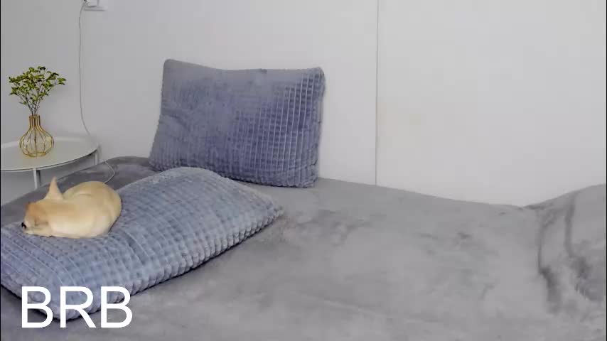 selenarousey Adult Chat October 10, 2025