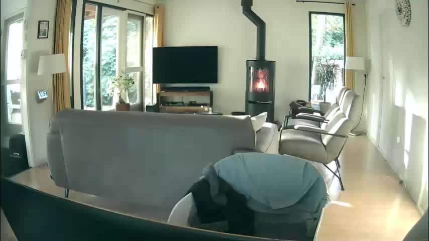 woodwurm Adult Chat October 10, 2025