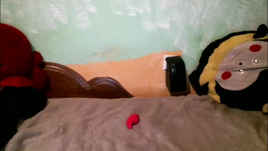 dennisxcarol Adult Chat October 10, 2025