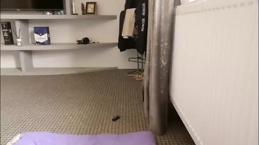 crazybrenda89 Adult Chat October 10, 2025