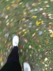 EVIL_TITS Adult Chat October 10, 2025