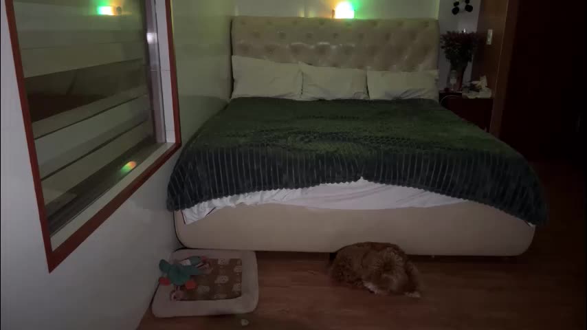 mia_floo Adult Chat October 11, 2025