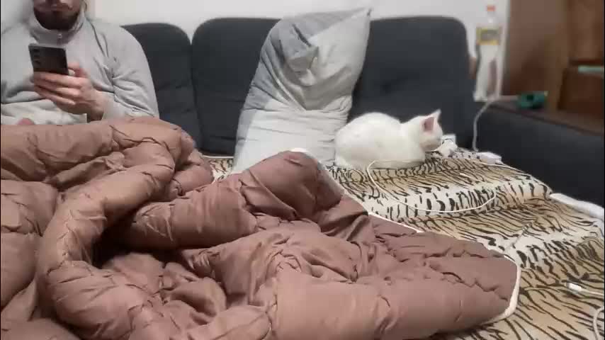 rosea_champagne Adult Chat October 11, 2025