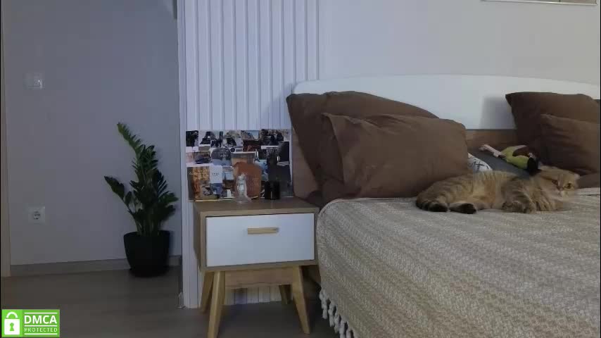 evi_woow Adult Chat October 11, 2025