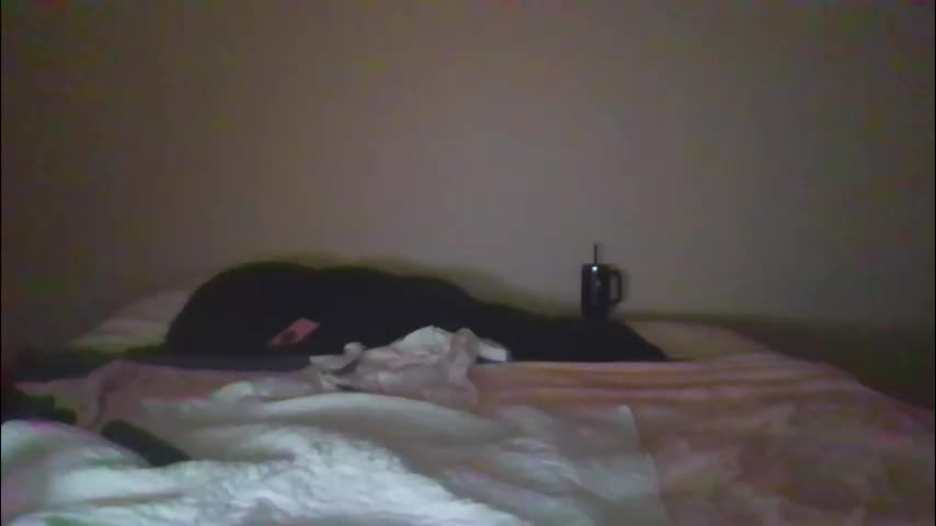 sdbeachfreaks Adult Chat October 11, 2025