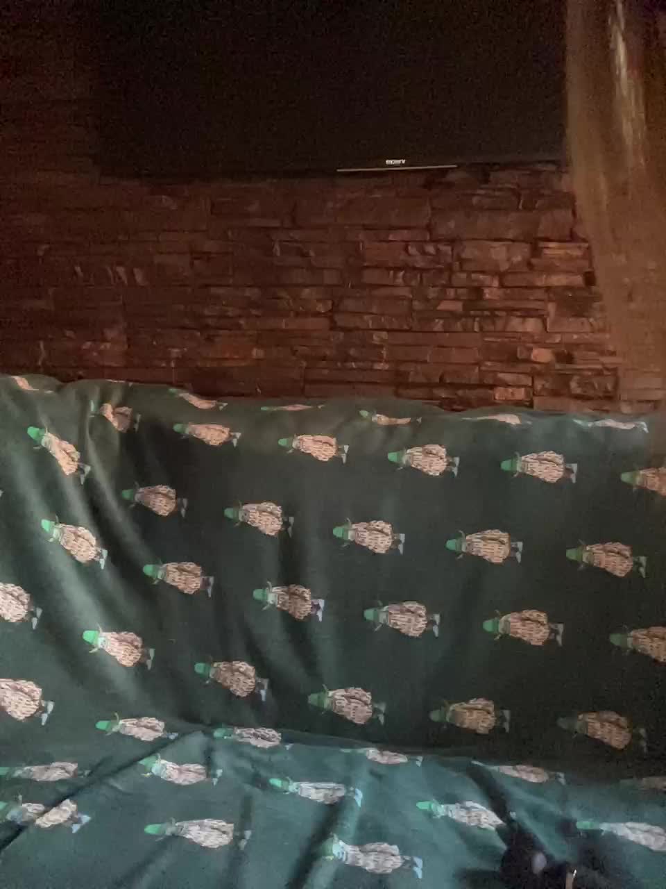 Panther_0888 Adult Chat October 11, 2025