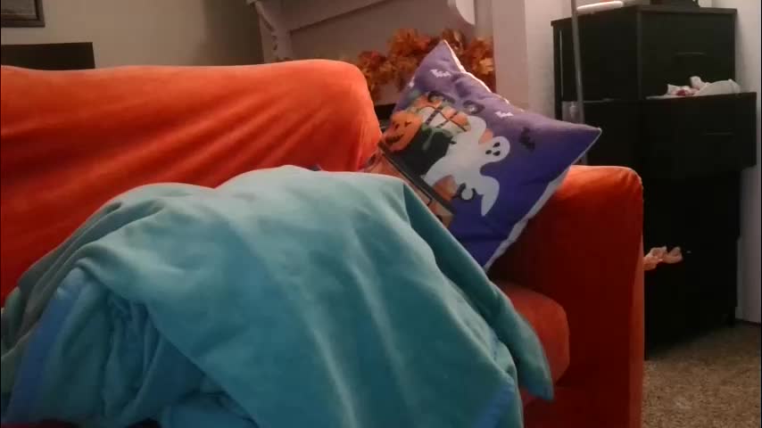 mastersquirter98 Adult Chat October 11, 2025