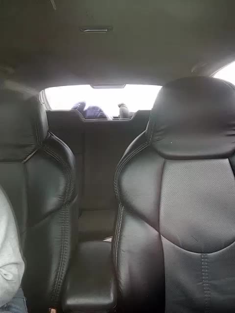 Byrzik1213 Adult Chat October 11, 2025