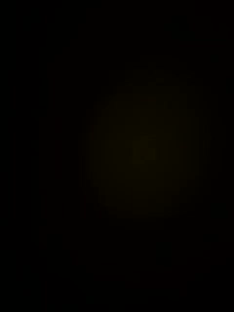 SosiscArca Adult Chat October 12, 2025