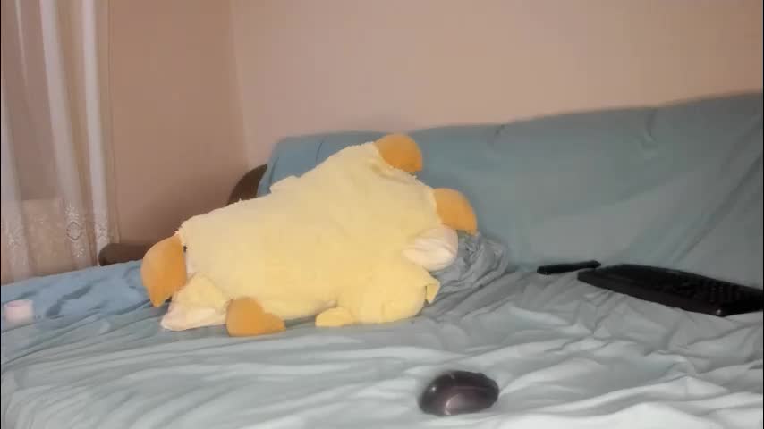 issabelle_69 Adult Chat October 12, 2025