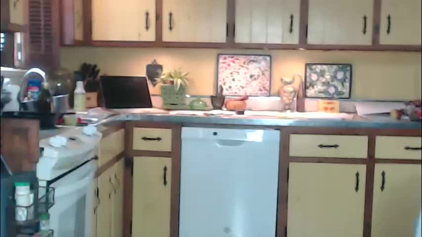 catalystic Adult Chat October 13, 2025