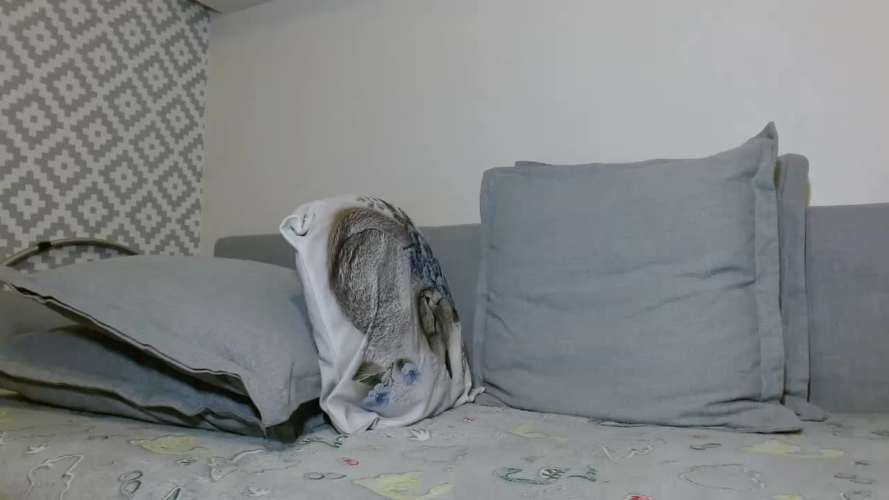 albinochka888 Adult Chat October 13, 2025