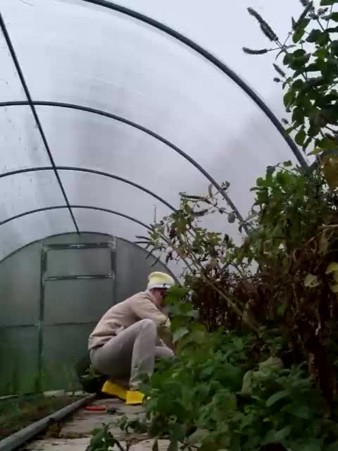 KOMCOMOLKA Adult Chat October 13, 2025