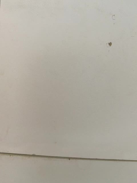 Laskikakvskaz Adult Chat October 13, 2025