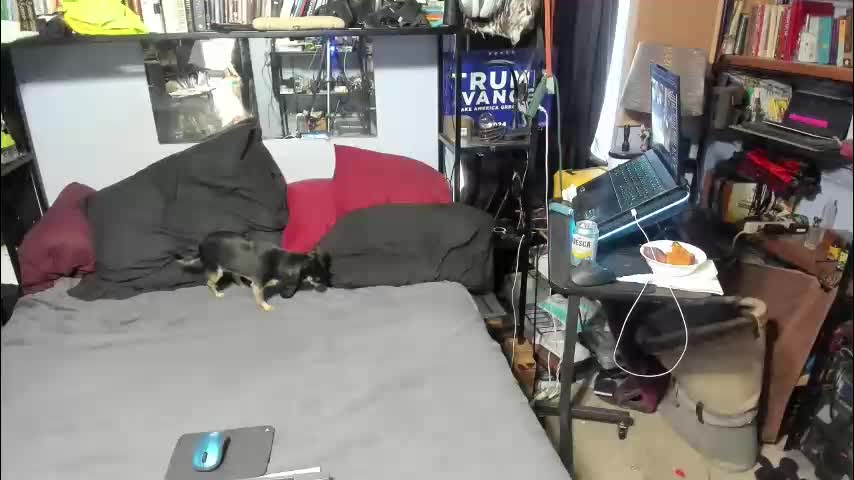 pink_black Adult Chat October 13, 2025