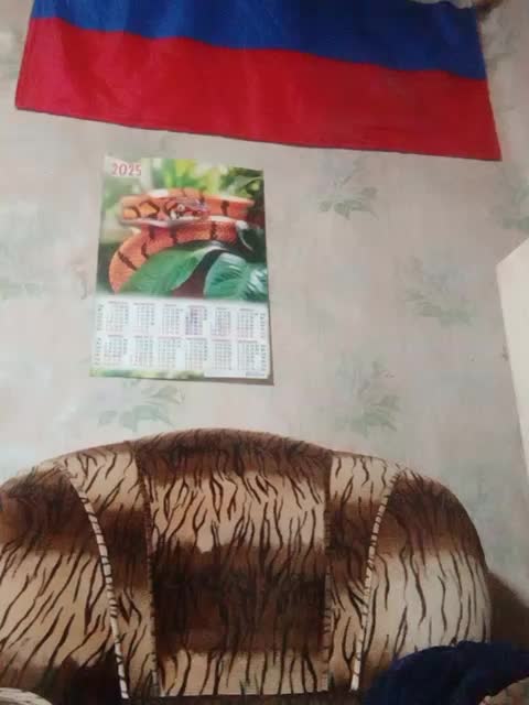 Calibriya Adult Chat October 14, 2025