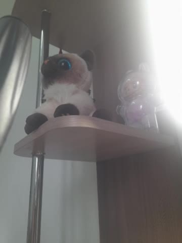 AlisaWyn Adult Chat October 14, 2025