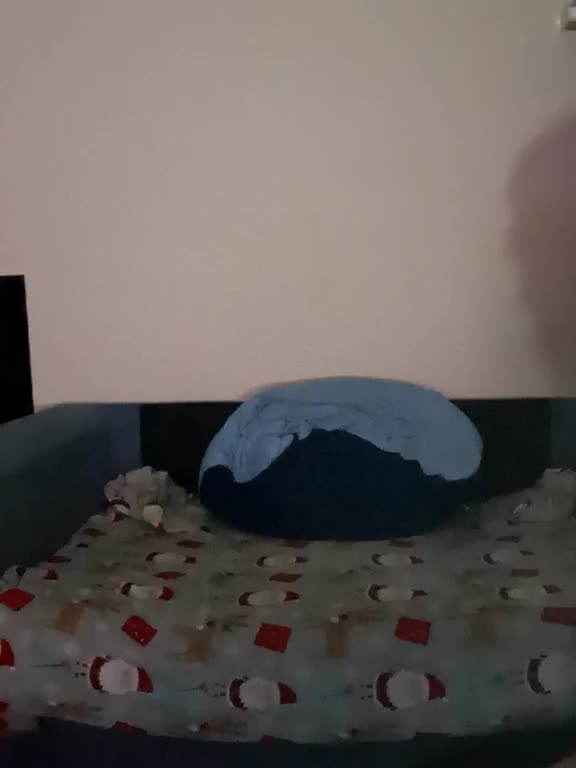 DimaSexIva Adult Chat October 14, 2025