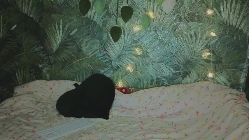 EthernalOphelia Adult Chat October 14, 2025