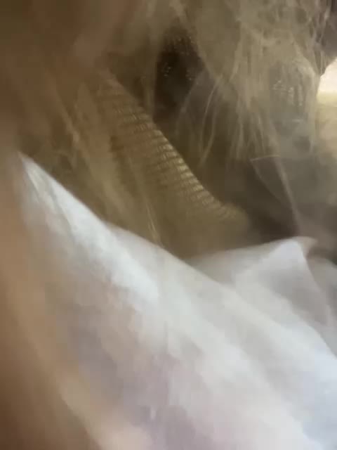 FunnyBanny0312 Adult Chat October 14, 2025