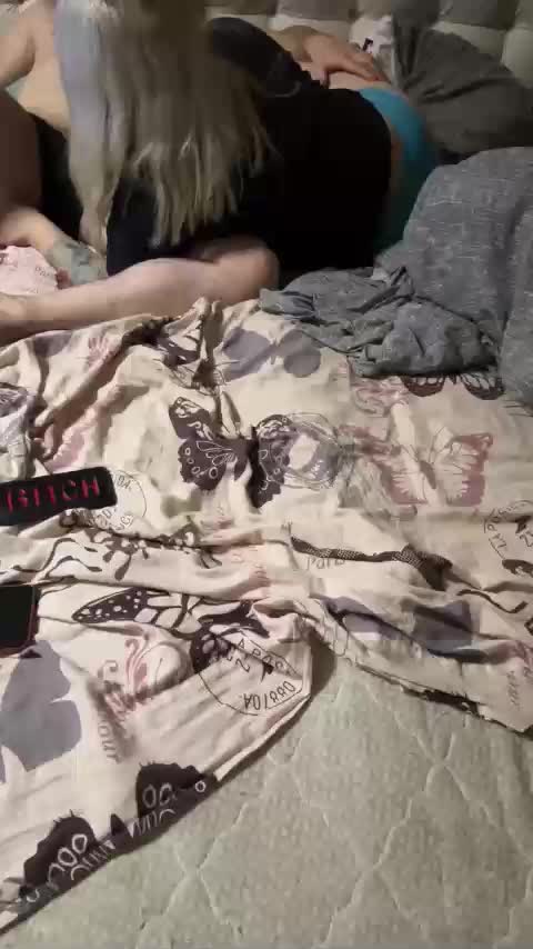 zika99 Adult Chat October 15, 2025