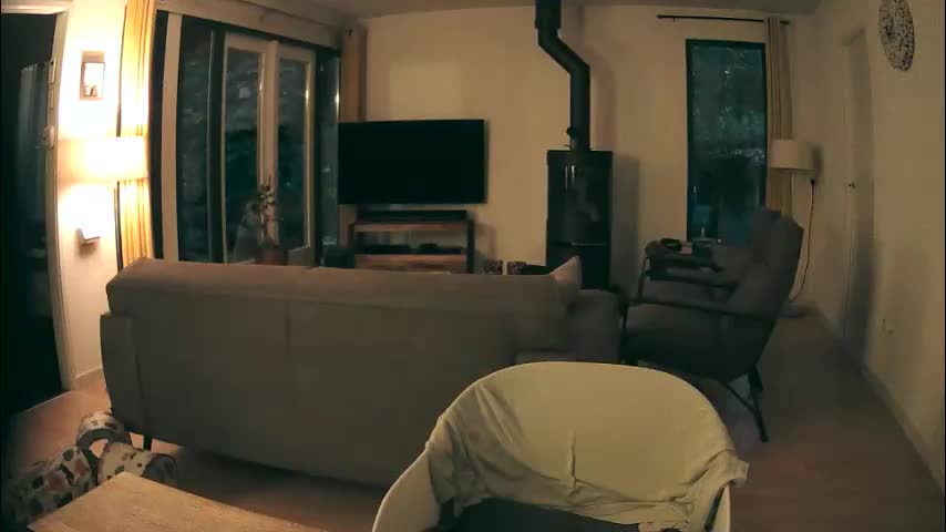 woodwurm Adult Chat October 15, 2025