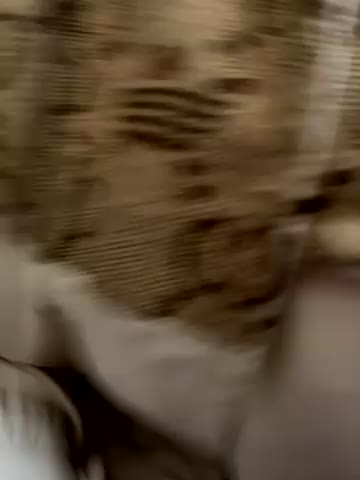 LikaCat Adult Chat October 15, 2025