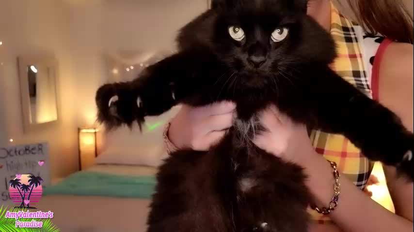 amyvalentine Adult Chat October 15, 2025