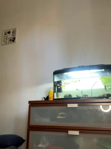 Artur_Anna Adult Chat October 15, 2025