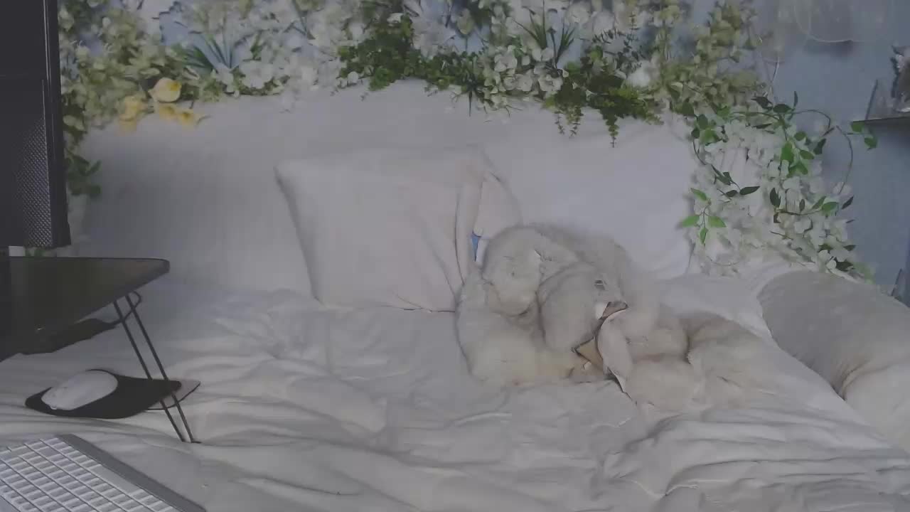 ViteR_ Adult Chat October 16, 2025