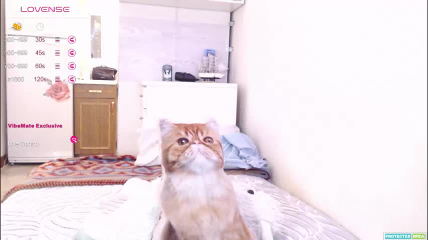 pvt_brian Adult Chat October 17, 2025