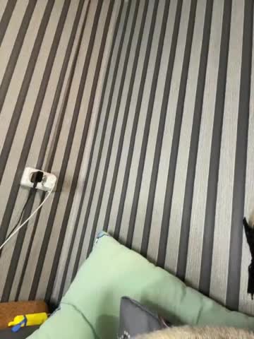 -LittleWitch- Adult Chat October 27, 2025