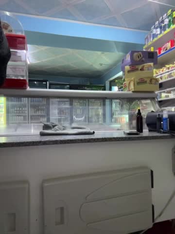 praesertim Adult Chat October 17, 2025