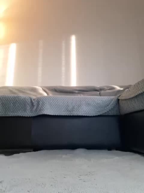 Violasweety Adult Chat October 19, 2025