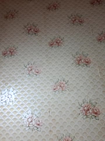 murr-kitty Adult Chat October 19, 2025