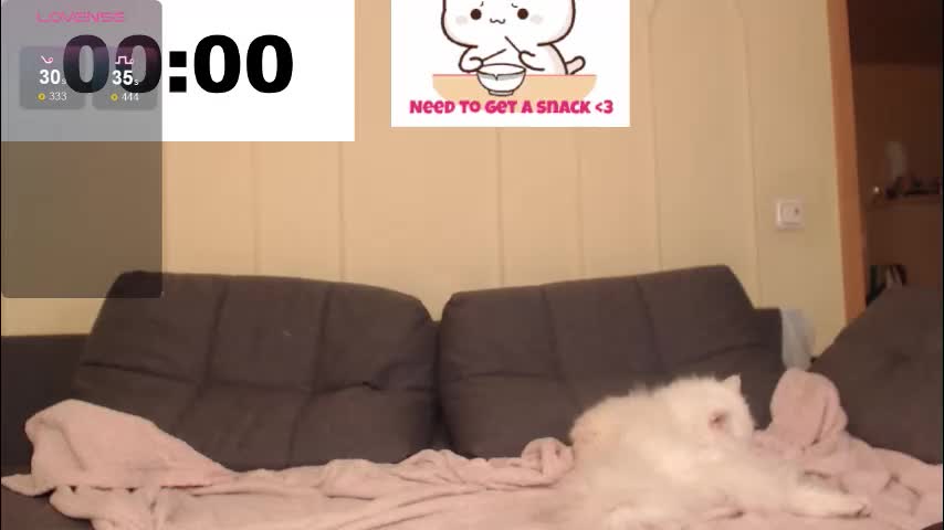 hotmp4 Adult Chat October 26, 2025