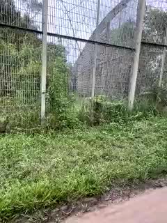 MoanaQliphoth Adult Chat October 31, 2025