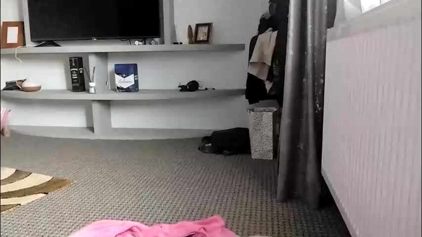 crazybrenda89 Adult Chat October 28, 2025