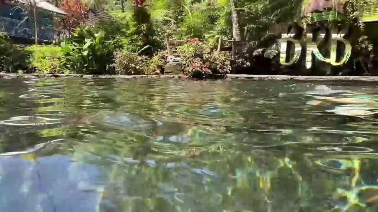 Ne_Sonia Adult Chat October 29, 2025