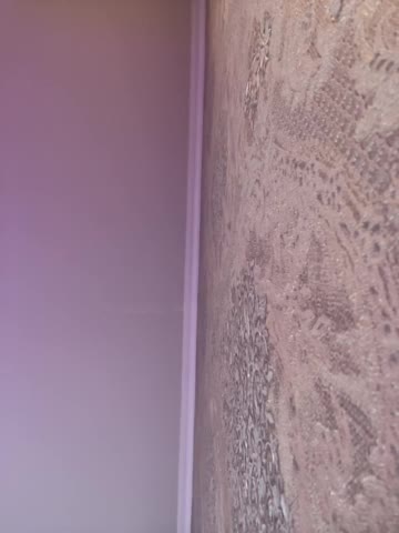 CASSIOPEIA Adult Chat October 31, 2025