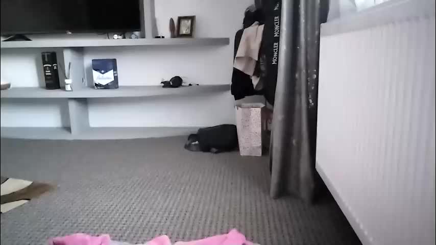 crazybrenda89 Adult Chat October 29, 2025