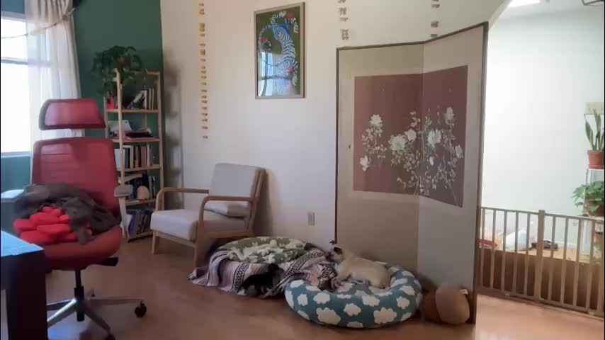 channel022 Adult Chat October 29, 2025