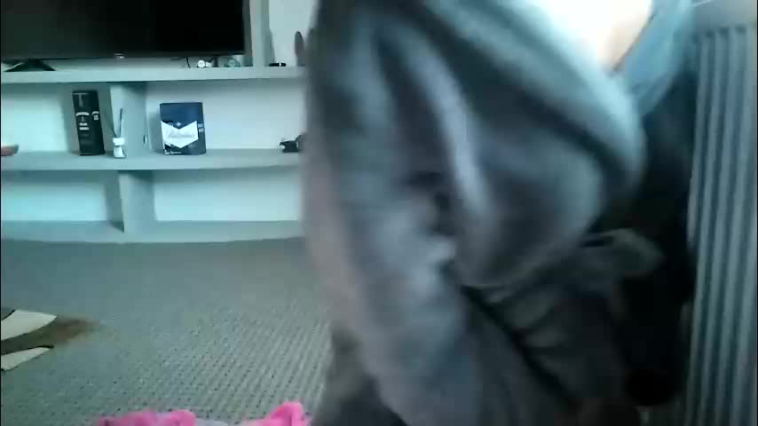 crazybrenda89 Adult Chat October 29, 2025