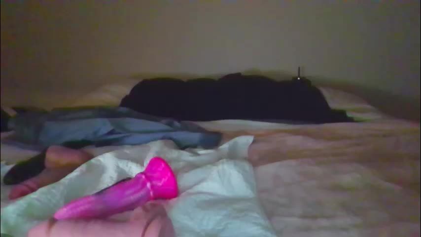 sdbeachfreaks Adult Chat October 27, 2025